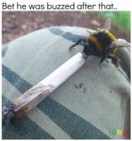 148390856087.jpg