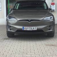 150349378263.jpg